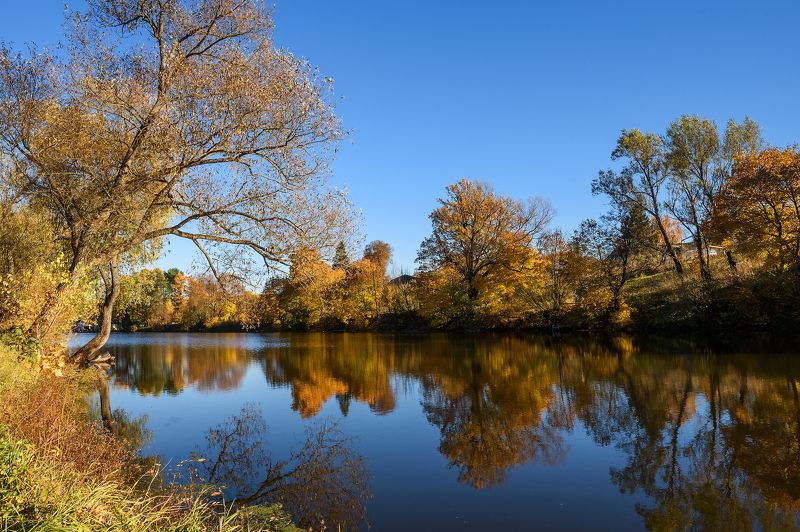 Осеньphoto preview