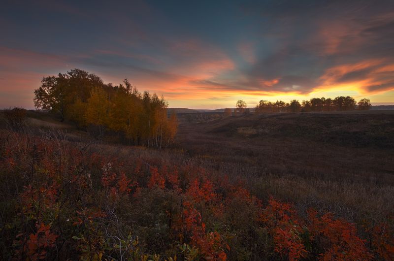 цвет настроения красныйphoto preview