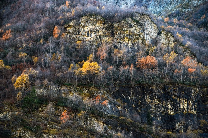 colors autumn forest mountains nature природа пейзаж осень лес горы landscape Colors.photo preview