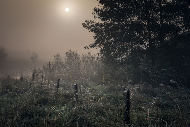 river fog sun mist dawn poland podlasie biebrza dark mood Styx...photo preview