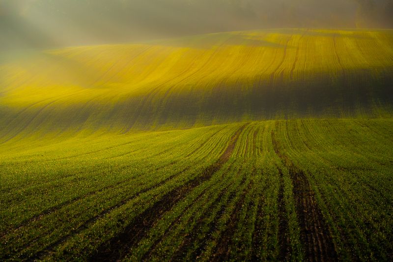 Jesienne polephoto preview