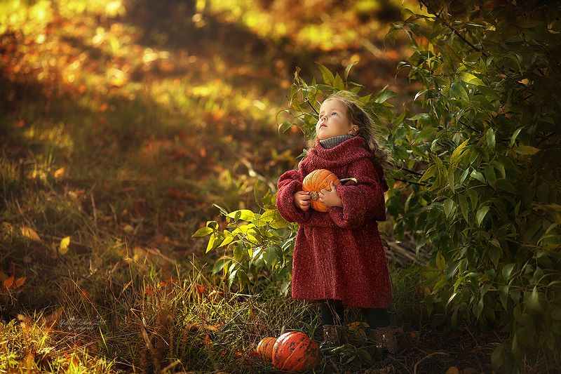 Стешаphoto preview