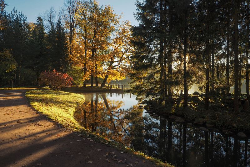 Утро в Екатериненском паркеphoto preview