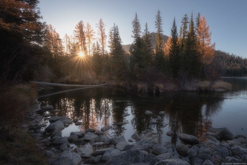 пейзаж, алтай, река, осень, лес, горы, солнце. свет, утро, восход Бара фото превью