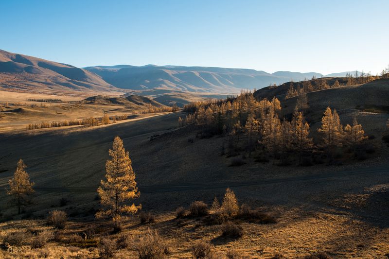 Алтай, осень, горы, курай В окрестностях Кураяphoto preview