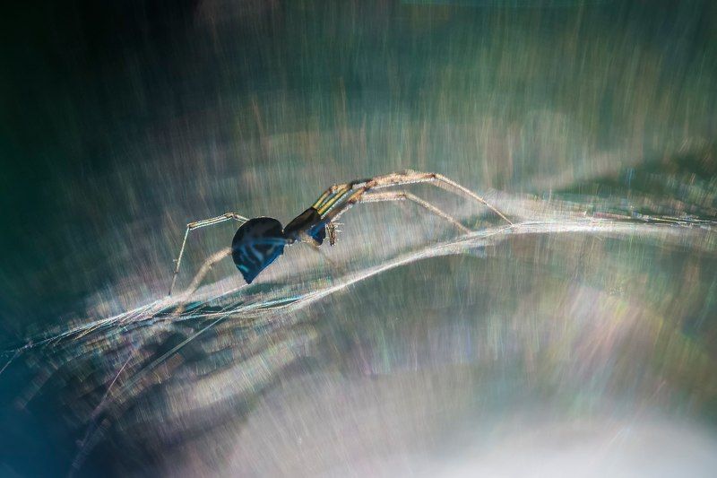 сияние-2photo preview