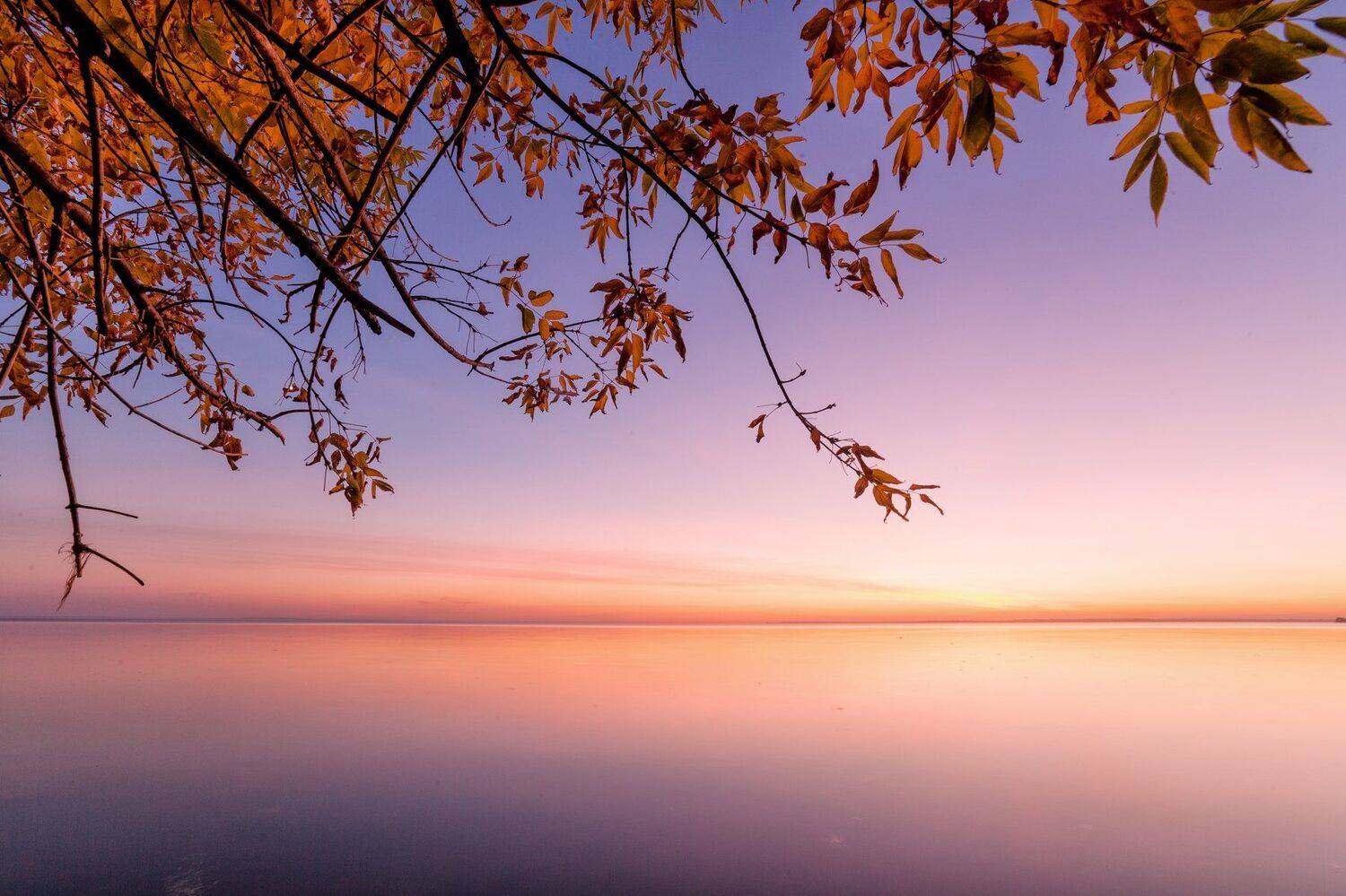 , Никита Сердечный