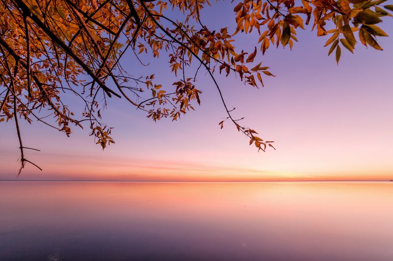 Ванильное небо октябряphoto preview