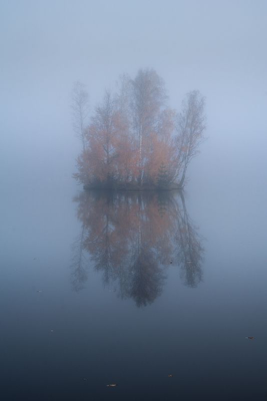 остров,осень,туман,ленинградская Огонь в туманеphoto preview