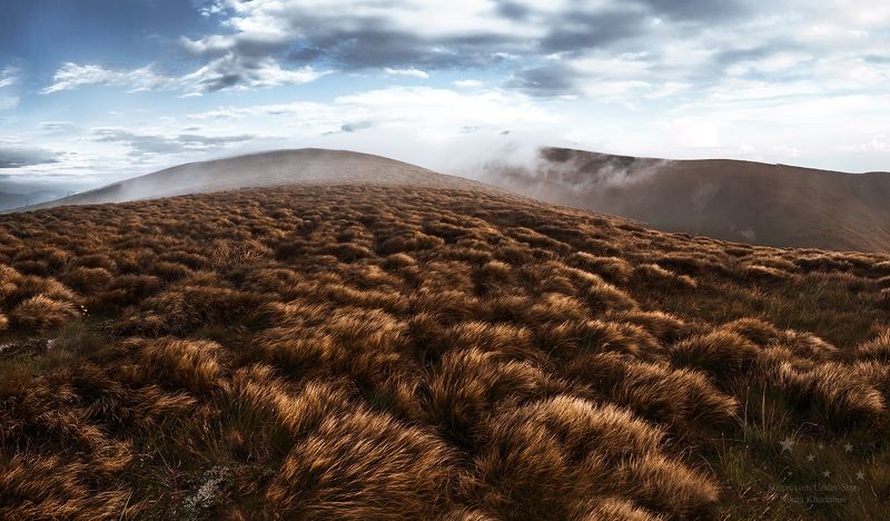 трава, драгобрат, карпаты, горы, склоны Карпатыphoto preview