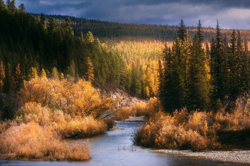 Сибирь, осень, цвета, река, песок, галька, лес, золото, небо, закат, Россия, Якутия, Тайга, Russia, river, cold, sunset, gold, trees, wind, explore, travel, sky, clouds, park, Yakutia Осенние краски Якутииphoto preview