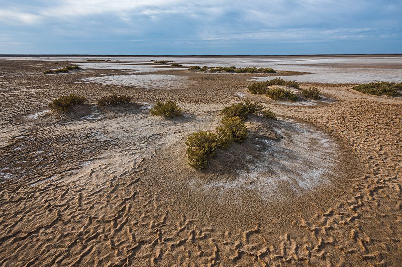 баскунчак красная лощина заповедник Баскунчак-4. Красная лощинаphoto preview