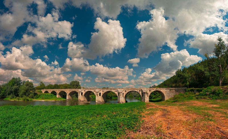 ceclii, nikon d3400 photo preview