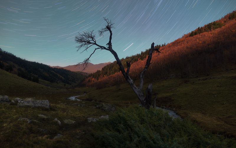 ночь The voice of the starsphoto preview