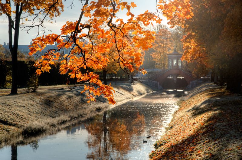 октябрьские прогулки по Александровскому паркуphoto preview