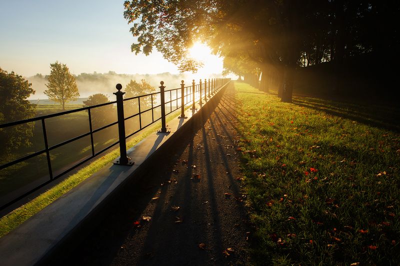 осень, утро Золото осениphoto preview