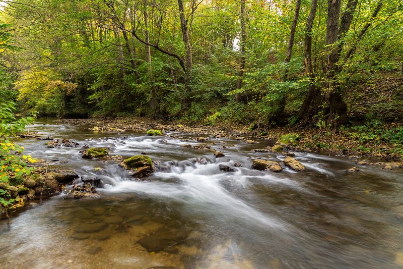 river, bulgaria, strandja, forest, trees, mountain River in Strandja mountain, Bulgariaphoto preview