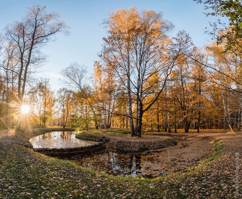 осень, листва, золото, озеро, сокольники, москва, пейзаж Золотая осень в Сокольникахphoto preview