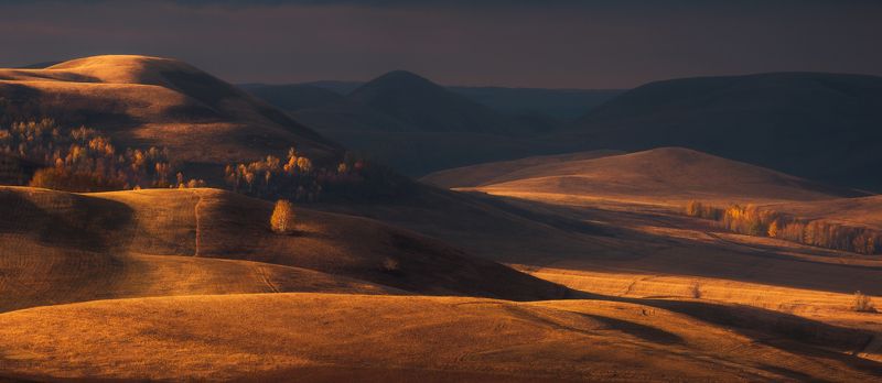 Осенний бархатphoto preview