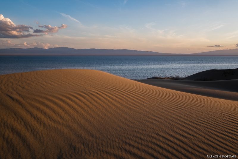 монголия, закат, пустыня, песок, озеро, природа, пейзаж, лето, mongolia, sunset, desert, sand, lake, nature, landscape, summer Золото Монголии 2photo preview