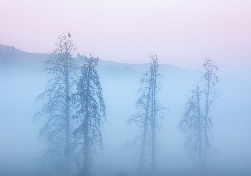 Under a Watchful Eyephoto preview