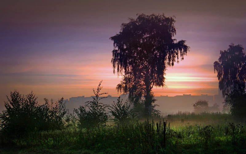 беларусь, город, минск, вечер, фотосфера-минск Осенние туманные закаты фото превью