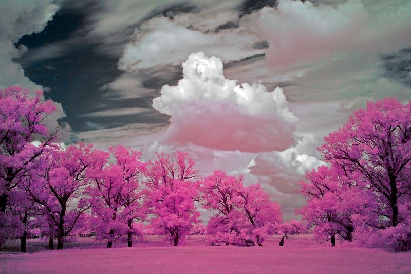 infrared, southural, orenburgregion, олег_грачёв, oleg_grachev, IRreal worldphoto preview
