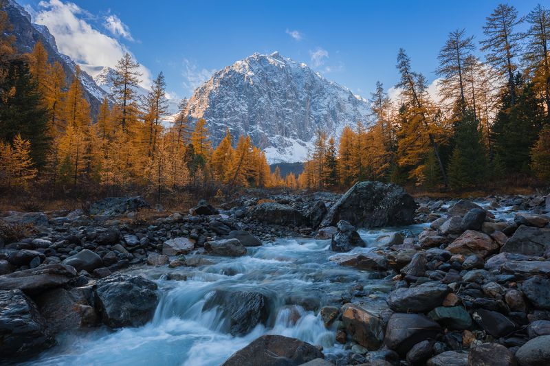 алтай, актру, осень, река, горы Золотой Актруphoto preview