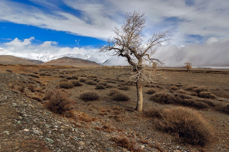 В ожидании зимы...photo preview