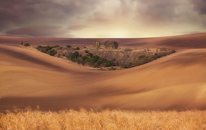 Trianglephoto preview