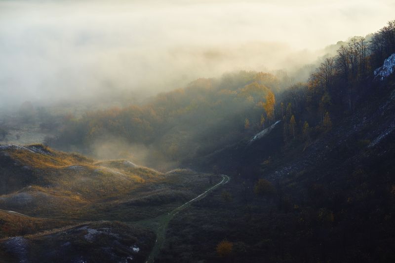 воронеж Утренний туманphoto preview