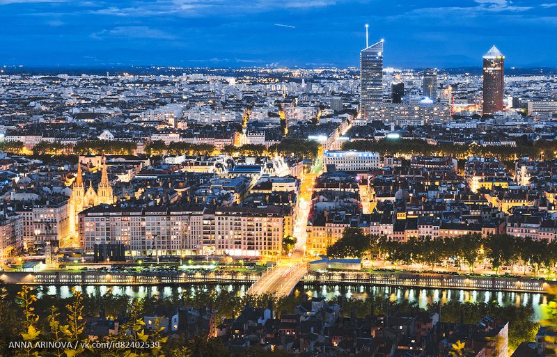 Лион фото превью