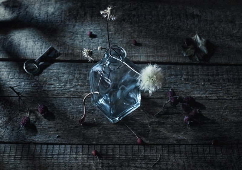 как жаль того, что не сбылосьphoto preview