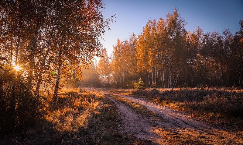 Разгуливает осеньphoto preview