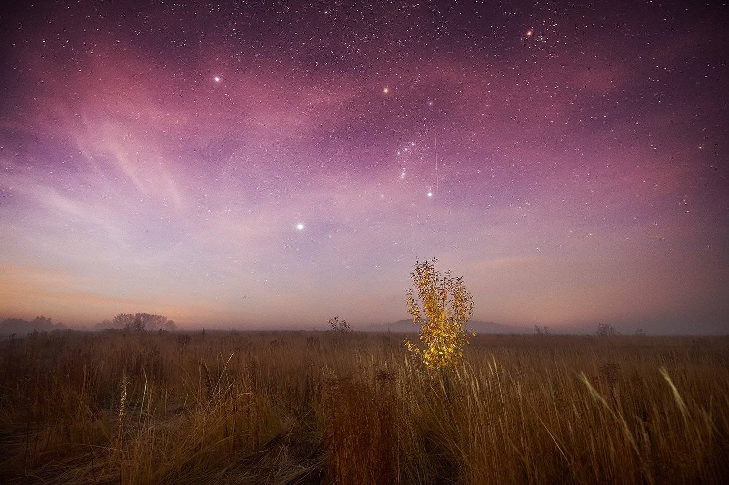 , Каревский Дмитрий