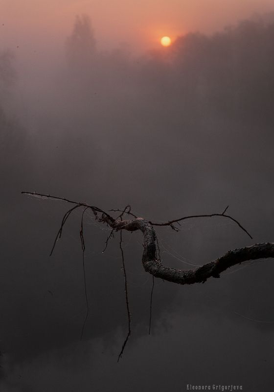 Туманный рассветphoto preview