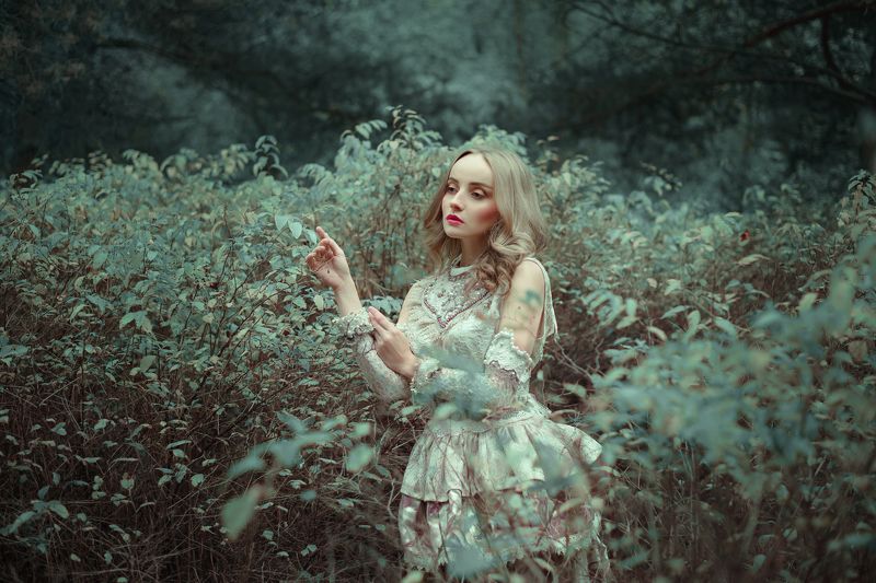 Софияphoto preview