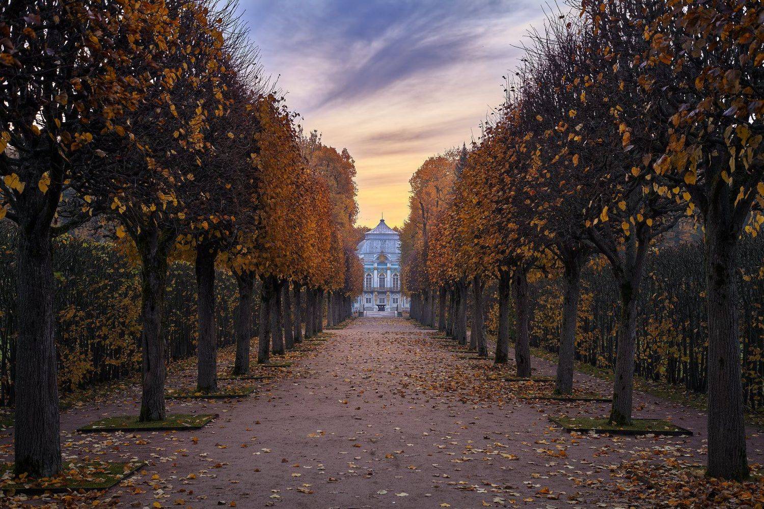 Осенняя симметрия у павильона Эрмитаж. Автор: KrubeK пушкин, царское село, аллея, осень, октябрь, листопад, парк, KrubeK