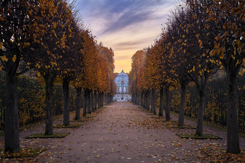 пушкин, царское село, аллея, осень, октябрь, листопад, парк Осенняя симметрия у павильона Эрмитажphoto preview