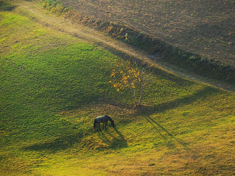 Autumn 2018photo preview