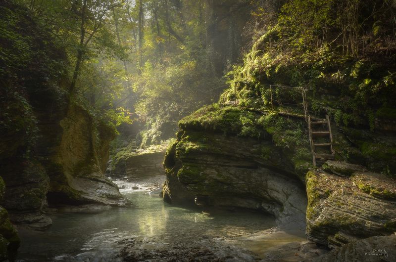 краснодарский край, индюк, бешенка, букепка, таштай, каньон, река, южный лес, лес В лесах Краснодарского краяphoto preview