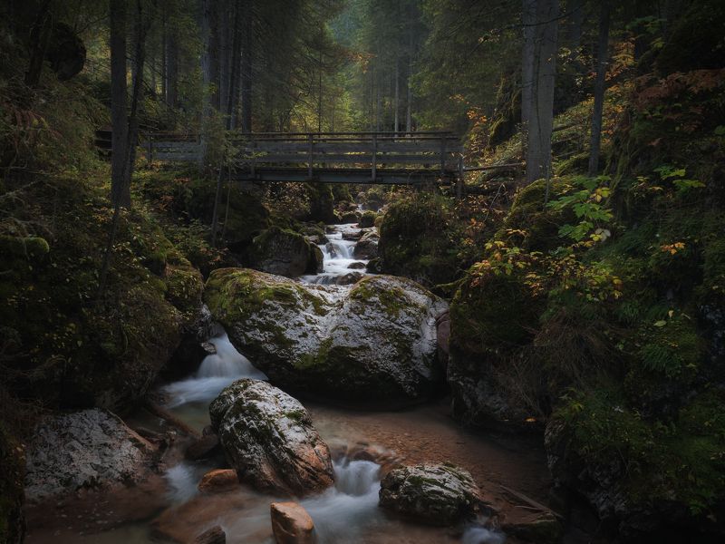 италия, доломиты, осень, ручей, водопад, мост,  carezza, вода Дорога к озеру Carezzaphoto preview