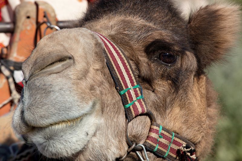 улыбаемся, вас снимаютphoto preview