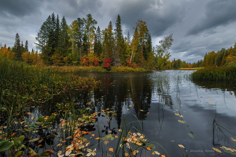 великий двор,вологодчина,кема,север,осень, ***photo preview