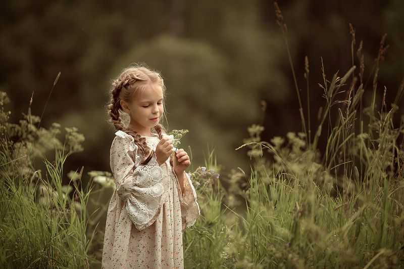 Теплый летний вечерphoto preview