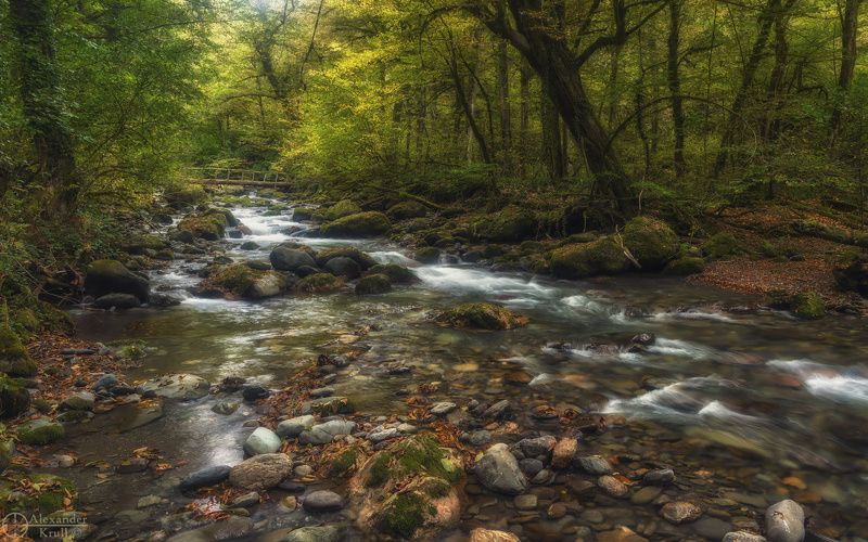 Заповедная Чвижепсе...photo preview