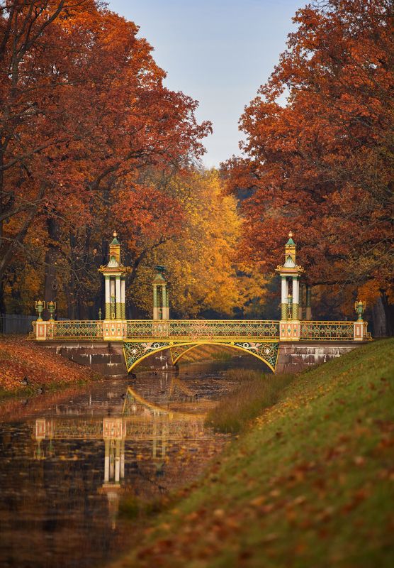 пушкин, царское село, парк, осень, листопад, октябрь Великолепие осенних красокphoto preview