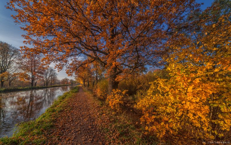 пейзаж, природа, путешествия, travel, wildlife, nature, landscape, canon, осень, autumn, colours ***photo preview