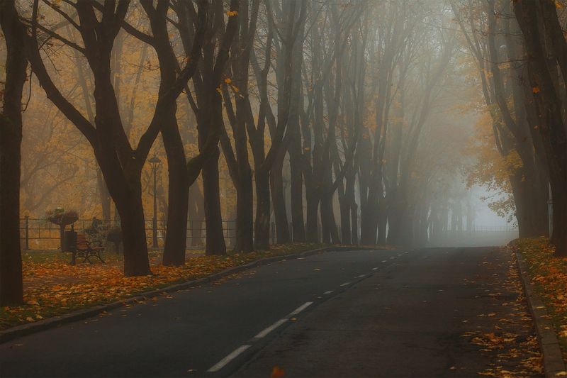 осень, утро, нарва Осеньphoto preview