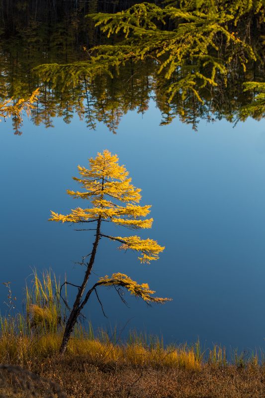 КРАЙ.photo preview